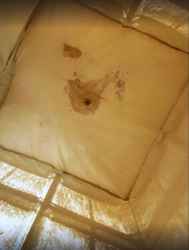 Damage caused by water infiltration on the silo filter cloth