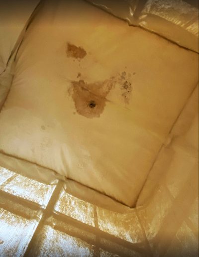 Damage caused by water infiltration on the silo filter cloth